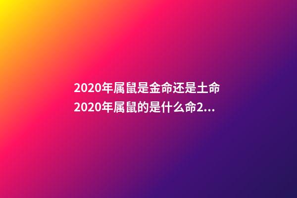 2020年属鼠是金命还是土命 2020年属鼠的是什么命2020年属鼠的人五行属什么-第1张-观点-玄机派